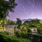 115-04-12 富源蝴蝶谷拍螢火蟲 (第十五拍) (4)