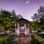 115-04-12 富源蝴蝶谷拍螢火蟲 (第十五拍) (5)